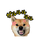 柴すずスタンぷぅ3（個別スタンプ：8）
