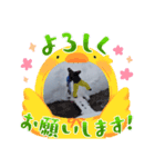 スノーボード仲間！（個別スタンプ：2）