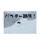 スノーボード仲間！（個別スタンプ：8）