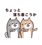 ◯SHIBAINUさん◯防災・震災・大丈夫？（個別スタンプ：4）