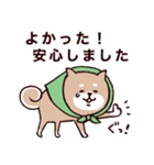 ◯SHIBAINUさん◯防災・震災・大丈夫？（個別スタンプ：10）