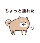 ◯SHIBAINUさん◯防災・震災・大丈夫？（個別スタンプ：18）