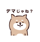 ◯SHIBAINUさん◯防災・震災・大丈夫？（個別スタンプ：32）