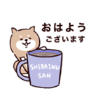 ◯SHIBAINUさん◯防災・震災・大丈夫？（個別スタンプ：33）