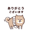 ◯SHIBAINUさん◯防災・震災・大丈夫？（個別スタンプ：39）