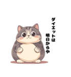 太っちょ猫のダイエットは明日から（個別スタンプ：1）