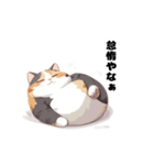 太っちょ猫のダイエットは明日から（個別スタンプ：5）