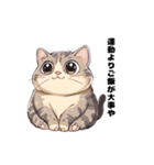 太っちょ猫のダイエットは明日から（個別スタンプ：8）