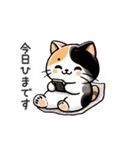 三毛猫スタンプ(Calico Cat Stamp)（個別スタンプ：19）