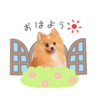 うちのコStamp No:3678（個別スタンプ：3）