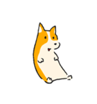 お着替えコーギー(Dress up Corgi)（個別スタンプ：2）