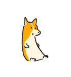 お着替えコーギー(Dress up Corgi)（個別スタンプ：4）