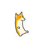 お着替えコーギー(Dress up Corgi)（個別スタンプ：5）