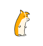 お着替えコーギー(Dress up Corgi)（個別スタンプ：6）