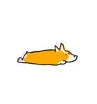 お着替えコーギー(Dress up Corgi)（個別スタンプ：7）