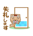 わんこ日和(ヨークシャテリア)-toYvu-（個別スタンプ：26）