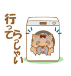 わんこ日和(ヨークシャテリア)-toYvu-（個別スタンプ：34）