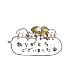 かわいいぷーわんとねこにゃー 003（個別スタンプ：8）