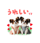 日常スタンプ かわいい子犬達（個別スタンプ：11）