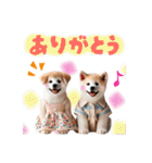 日常スタンプ かわいい子犬達（個別スタンプ：13）