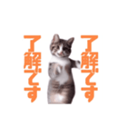 動く！動く！踊る猫ちゃん(カラフル文字)（個別スタンプ：2）