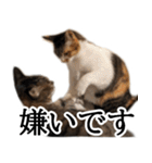 代弁猫～猫と丁寧語のポワレ～（個別スタンプ：20）