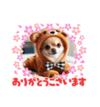 オコジョすたんぷ(うさ吉クマ五郎)（個別スタンプ：9）