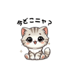 【使える！】子猫ちゃんの待ち合わせ（個別スタンプ：1）