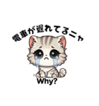 【使える！】子猫ちゃんの待ち合わせ（個別スタンプ：3）