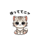 【使える！】子猫ちゃんの待ち合わせ（個別スタンプ：6）