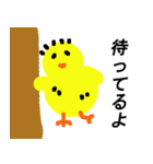 ひよこのパチクリピー（個別スタンプ：11）