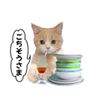 お茶目な猫のSimple life（個別スタンプ：15）