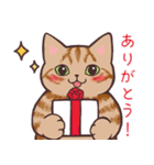 まったり秋の猫ちゃんたち（個別スタンプ：1）