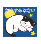 まったり秋の猫ちゃんたち（個別スタンプ：4）