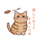 まったり秋の猫ちゃんたち（個別スタンプ：9）