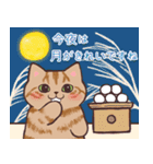 まったり秋の猫ちゃんたち（個別スタンプ：21）