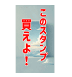 デカ文字界隈で流行りのスタンプ その壱（個別スタンプ：6）