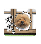 かわいいジェ1（個別スタンプ：1）