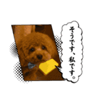 かわいいジェ1（個別スタンプ：4）