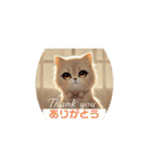 LINEスタンプで良く使う言葉 猫バージョン（個別スタンプ：40）