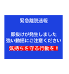 テレビで見たことあるような字幕（個別スタンプ：21）