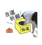 にゃ〜のあるひ（個別スタンプ：1）