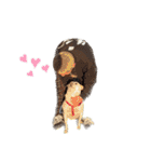 ここちゃん＊2（個別スタンプ：30）