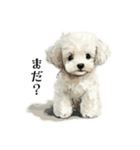 Cute poodle stamps（個別スタンプ：1）