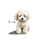 Cute poodle stamps（個別スタンプ：3）