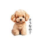 Cute poodle stamps（個別スタンプ：4）