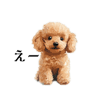 Cute poodle stamps（個別スタンプ：8）