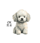 Cute poodle stamps（個別スタンプ：9）