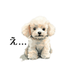 Cute poodle stamps（個別スタンプ：10）