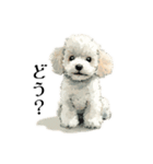 Cute poodle stamps（個別スタンプ：11）